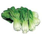 Burpee Toy Choi Cabbage Seeds 200 seeds photo / $7.23 ($0.04 / Count)