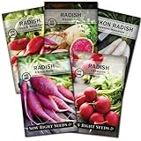 Sow Right Seeds - Radish Seed Collection for Planting - Champion, Watermelon, French Breakfast, China Rose, and Minowase (Diakon) Varieties - Non-GMO Heirloom Seed to Plant a Home Vegetable Garden photo / $10.99