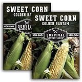 Survival Garden Seeds - Golden Bantam Sweet Corn Seed for Planting - Packet with Instructions to Plant and Grow Yellow Corn on The Cob Your Home Vegetable Garden - Non-GMO Heirloom Variety - 2 Pack photo / $7.99 ($4.00 / Count)