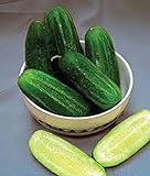 Cucumber, National Pickling Cucumber Seed, Heirloom,25 Seeds, Great for Pickling photo / $1.99 ($0.08 / Count)