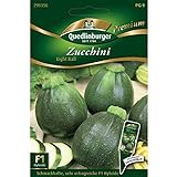 Zucchini 'Eight Ball' F1, 1 Tüte Samen foto / 4,27 € (0,36 € / stück)
