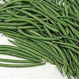 Burpee Stringless Green Bush Bean - 25 Count Seed Pack - Non-GMO - A Culinary Star, pods are Delicious in Many Foods. - Country Creek LLC photo / $1.99