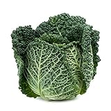 Savoy Perfection Cabbage Seeds - 50 Count Seed Pack - Non-GMO - A Unique Hardy Crop with a Sweet and Delicate Flavor That Makes an Excellent Addition to Many Dishes. - Country Creek LLC photo / $2.29 ($0.05 / Count)