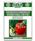 Keystone Resistant Sweet Bell Pepper Seeds 150 Seeds Non-GMO photo / $1.89 ($0.01 / Count)