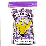 Nature's Nuts Premium Black Striped Sunflower Seed - 16 lb. photo / $42.56