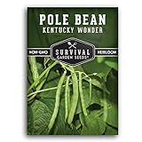 Survival Garden Seeds - Kentucky Wonder Pole Bean Seed for Planting - Packet with Instructions to Plant and Grow Delicious Snap Beans in Your Home Vegetable Garden - Non-GMO Heirloom Variety photo / $5.49