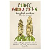 Zanadoo Sweet Corn Seeds - Pack of 30, Certified Organic, Non-GMO, Open Pollinated, Untreated Vegetable Seeds for Planting – from USA photo / $7.49