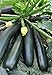 photo Seeds Zucchini Squash Black Beauty Vegetable for Planting Heirloom Non GMO