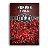 Survival Garden Seeds - Red Cayenne Pepper Seed for Planting - Packet with Instructions to Plant and Grow Hot Chili Peppers in Your Home Vegetable Garden - Non-GMO Heirloom Variety - Single Pack photo / $4.99