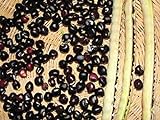 Black Crowder Pea Seeds - Heavy yields of Dark Purple cowpeas!! (200 - Seeds) photo / $14.99