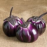 David's Garden Seeds Eggplant Barbarella (Purple) 25 Non-GMO, Hybrid Seeds photo / $3.45