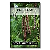 Sow Right Seeds - Rattlesnake Pole Bean Seed for Planting - Non-GMO Heirloom Packet with Instructions to Plant a Home Vegetable Garden photo / $5.49