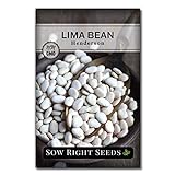 Sow Right Seeds - Henderson Lima Bean Seed for Planting - Non-GMO Heirloom Packet with Instructions to Plant a Home Vegetable Garden photo / $5.49
