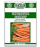 Imperator Carrot Seeds - 500 Seeds Non-GMO photo / $1.59