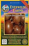 Everwilde Farms - 500 Yellow Sweet Spanish Onion Seeds - Gold Vault Jumbo Seed Packet photo / $2.98