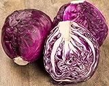 NIKA SEEDS - Vegetable Cabbage Purple - 150 Seeds photo / $6.95 ($0.05 / Count)