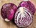 photo NIKA SEEDS - Vegetable Cabbage Purple - 150 Seeds