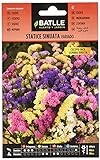 Semillas de Flores - Statice Sinuata variado - Batlle foto / 1,88 €