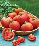 Burpee Early Girl Tomato Seeds 50 seeds photo / $7.37 ($0.15 / Count)