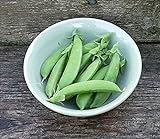 Pea Seed, Sugar Snap Pea, Heirloom, Non GMO, 50 Seeds, Perfect Peas, Country Creek Acres photo / $2.99 ($0.06 / Count)