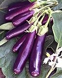 Eggplant , Long Purple Eggplant Seeds, Heirloom, Non GMO, 25 Seeds, Garden Seed, Long Purple, Heirloom, Non GMO, 25+Seeds, Garden Seed photo / $1.99 ($0.08 / Count)
