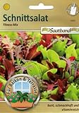 Schnittsalat Fitness Mix Saatband für Balkon & Terrasse bunt schmackhaft vitaminreich 43020 Salat foto / 2,65 €