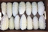 Exotic White Bitter Gourd Seeds for Planting - 10 Seeds White Bitter Melon - Rare and Hard to Find. Ships from Iowa, USA photo / $10.29 ($1.03 / Count)