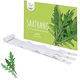 5m Saatband Rucola Samen (Eruca sativa) - Aromatisch, nussige Salatrauke ideal für die Anzucht im Garten, Balkonkasten & Gemüsebeet foto / 5,90 € (5,90 € / count)