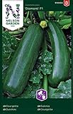 Zucchini Samen für Gemüsegarten - Nelson Garden Saatgut - Zucchini Diamant F1 (15 Stück) (Zucchini, Diamant F1, Einzelpackung) foto / 4,95 €