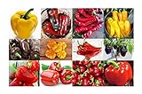 Harley Seeds This is A Mix!!! 30+ Sweet Pepper Mix Seeds, 12 Varieties Heirloom Non-GMO, Pimento, Purple Beauty, from USA, green photo / $5.49 ($2.74 / Gram)