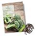 foto BIO Brokkoli Samen (Calabrese) - Brokkoli Saatgut aus biologischem Anbau ideal für die Anzucht im Garten, Balkon oder Terrasse
