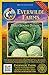 photo Everwilde Farms - 500 Early Round Dutch Cabbage Seeds - Gold Vault Jumbo Seed Packet