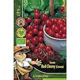 Semillas ecológicas de Tomate Red Cherry foto / 4,42 €