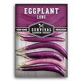 Survival Garden Seeds - Long Purple Eggplant Seed for Planting - Packet with Instructions to Plant and Grow Skinny Italian Aubergines in Your Home Vegetable Garden - Non-GMO Heirloom Variety photo / $4.99