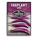 photo Survival Garden Seeds - Long Purple Eggplant Seed for Planting - Packet with Instructions to Plant and Grow Skinny Italian Aubergines in Your Home Vegetable Garden - Non-GMO Heirloom Variety