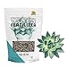 photo Leaves and Soul Succulent Fertilizer Pellets |13-11-11 Slow Release Pellets for All Cactus and Succulents | Multi-Purpose Blend & Gardening Supplies, No Fillers | 5.2 oz Resealable Packaging