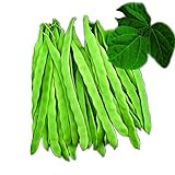 Park Seed Algarve French Climbing Bean Seeds, Pack of 100 Seeds photo / $9.99 ($0.10 / Count)