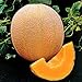 photo Park Seed Hale's Best Organic Melon Seeds Delicious Cantaloupe Certified Organic Thick Flesh, Sweet Juicy Flavor, Pack of 20 Seeds