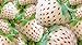 photo White Strawberry Seeds - 200+ Seeds - White Pineberry Seeds - Made in USA, Ships from Iowa.