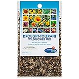 Drought Resistant Tolerant Wildflower Seeds Open-Pollinated Bulk Flower Seed Mix for Beautiful Perennial, Annual Garden Flowers - No Fillers - 1 oz Packet photo / $9.69