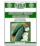 Straight Eight Cucumber Seeds - 50 Seeds Non-GMO photo / $1.59 ($0.03 / Count)
