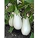 photo White Star Eggplant Seeds(Hybrid) Seeds (40 Seed Pack)