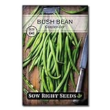 Sow Right Seeds - Contender Green Bean Seed for Planting - Non-GMO Heirloom Packet with Instructions to Plant a Home Vegetable Garden photo / $5.49