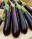 CEMEHA SEEDS - Eggplant Aubergin Black Long Pop Thai Non GMO Vegetable for Planting photo / $6.95 ($0.23 / Count)