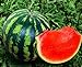 photo Seeds4planting - Seeds Watermelon Crimson Sweet Giant Heirloom Vegetable Non GMO
