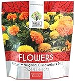 African Marigold Seeds Crackerjack Mix - Bulk 1 Ounce Packet - Over 10,000 Seeds - Huge Orange and Yellow Blooms photo / $7.97