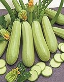Seeds Squash Zucchini Aspirant 38 Days White Bush Vegetable for Planting Heirloom Non GMO photo / $7.99