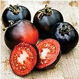 Indigo Rose Tomato Seeds (20+ Seeds) | Non GMO | Vegetable Fruit Herb Flower Seeds for Planting | Home Garden Greenhouse Pack photo / $3.69 ($0.18 / Count)