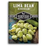 Survival Garden Seeds - Henderson Lima Bean Seed for Planting - Packet with Instructions to Plant and Grow Tender White Butter Beans in Your Home Vegetable Garden - Non-GMO Heirloom Variety photo / $5.99