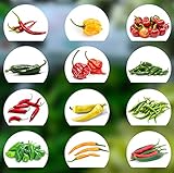 Chili Seed Set | 12 variedades de semillas de chile desde picante a suave | Set de cultivo con Chili Premium- Semillas naturales | fácil de cultivar/cultivar para el jardín y el balcón foto / 9,90 €